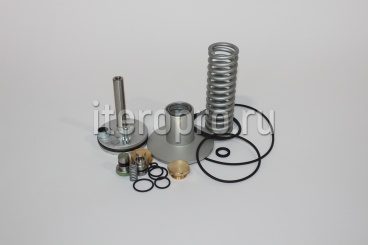 Комплект ремонтный клапана впускного R90E 510.0564