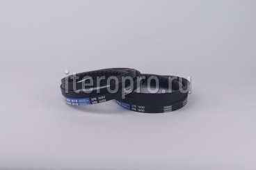 Ремень XPB-1600