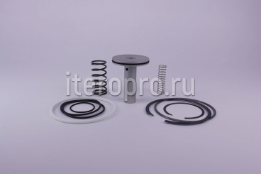 Комплект ремонтный клапана впускного для NK200 120710