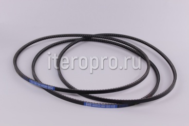 Ремень XPZ-1112 Lw Muscle XR4