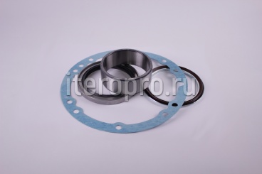 Комплект ремонтный уплотнений вала SCA20DR/BVG/DRM SCA2003001