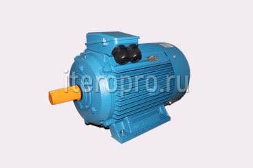 Двигатель электрический 55 кВт 3000об А225М2БУ3 380/660,IM2001 IP55 IE1,с поп.смазки, каб.ввод, MG кр001-18