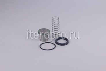 Комплект ремонтный клапана минимального давления G40wl / G46wl 220.0355