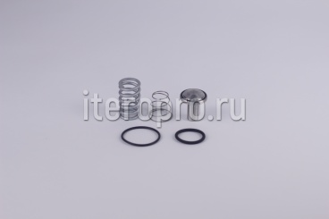 Комплект ремонтный клапана минимального давления G35/G36 220.1250