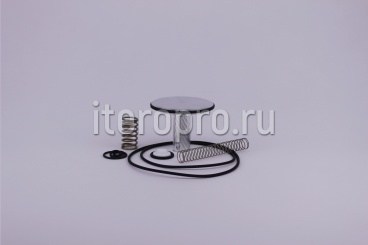 Комплект ремонтный клапана впускного RB60E 620.0160