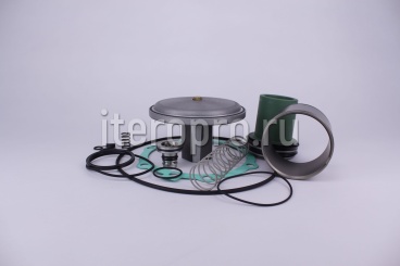 Комплект ремонтный клапана впускного RH350EI/12F 600.0771