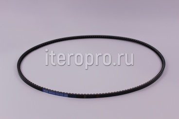 Ремень XPA-1600 Ld Muscle XR4