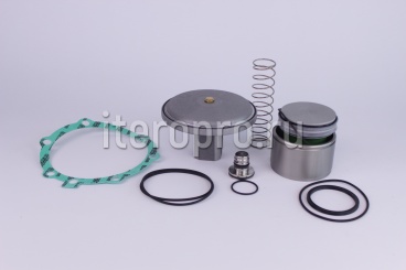 Комплект ремонтный клапана впускного RH350EI/8F-230V 600.0760