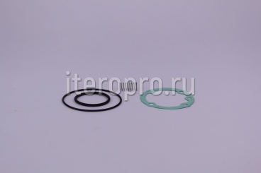 Комплект ремонтный клапана впускного RH30E 600.5090 