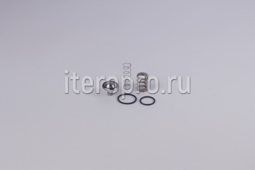 Комплект ремонтный клапана минимального давления G10 220.0010