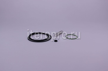 Комплект ремонтный клапана впускного RH38E 600.5280