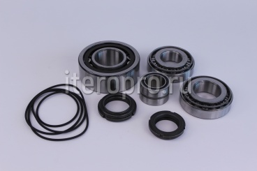 Комплект ремонтный подшипников EVO9 89014