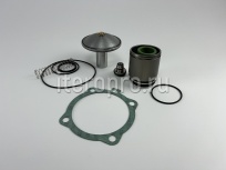 Комплект ремонтный клапана впускного RH100E230V 600.0360 