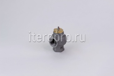 Клапан минимального давления G36-1 1/4" 220.2203.0580
