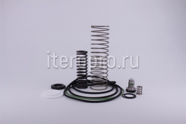 Комплект ремонтный корпуса впуского клапана RB200E/P/PM 620.5565